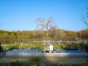HP_image_007 (1) 