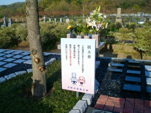 HP_image_007-2 (1) 