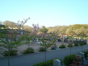 HP_image_007-4 (1) 