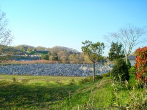 HP_image_007-6 (1) 